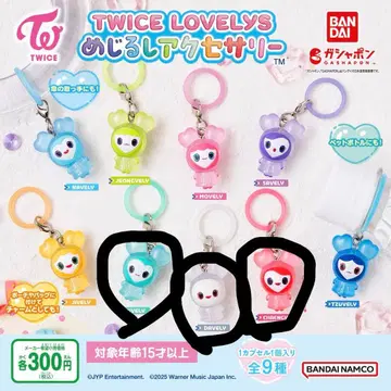 twice 메지루시 액세서리