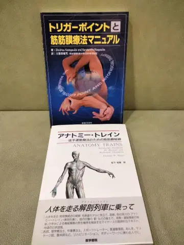 트리거 포인트와 근막 치료 매뉴얼 해부학 트레인 수기 운동 치료
