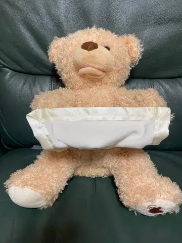 BABA Bear 까꿍 놀이하는 곰돌이 봉제 인형 작동 확인 완료