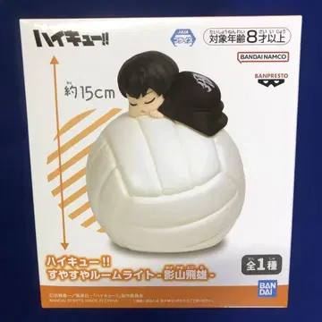 하이큐 스야스야 룸 라이트 카게야마 토비오