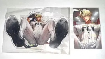 지옥이 뭐가 나빠? 제비뽑기당 벨제바브 아크릴 스탠드, 트레이딩 카드