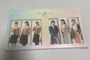 야가테 키미니 나루 롱 캔뱃지 세트