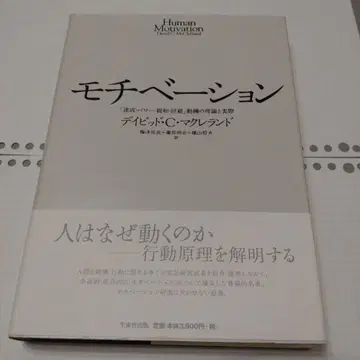 모티베이션 : [ 달성 파워 친화 회피 ] 동기의 이론과 실제 데이비드