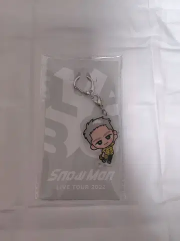 SnowMan 이와모토 테루 아크링 키링