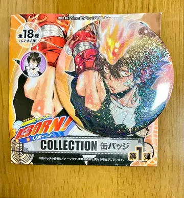 초 츠나 WJ 50주년 기념 컬렉션 캔뱃지 가정교사 히트맨 REBORN