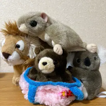 aurora 사자 코알라 곰 날다람쥐 동물 봉제 인형 4세트