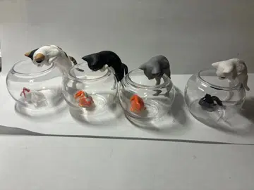 키탄클럽 고양이와 금붕어 4개 세트