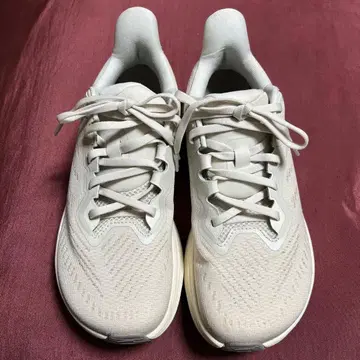 ALTRA 익스피리언스 플로우 2