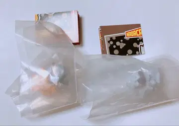 나의 히어로 아카데미아 히로아카 히로아카냥코