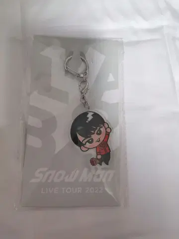 SnowMan 미야타테 료타 아크링 키링