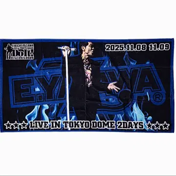 TOKYO DOME 비치 타월 야자와 에이요시 도쿄돔 한정판