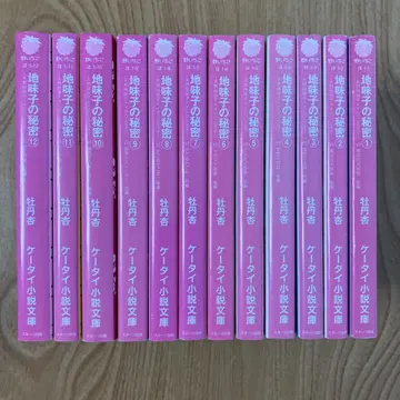 수수한 아이의 비밀 세트