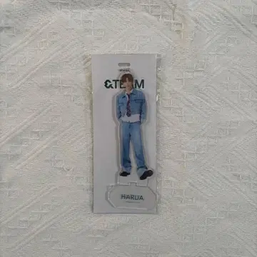 &TEAM 아크릴 키링 HARUA