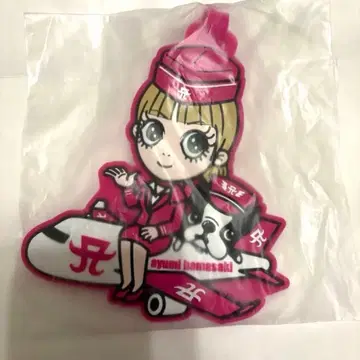 하마사키 아유미 ayupan 러기지 택 규슈 한정판