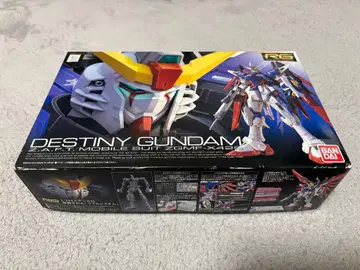 [현상품] RG 데스티니 건담 ZGMF-X42S