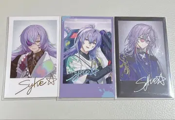 니지산지 별도 쇼 금박 레어