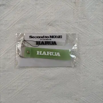 &TEAM 응원봉 데코 세트 HARUA
