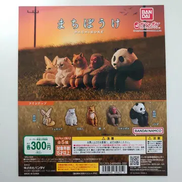 가챠 기다림 전 5종 컴프 세트