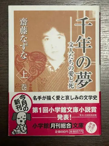 사이토 나즈나 천년의 꿈 문인들의 사랑과 죽음 상권