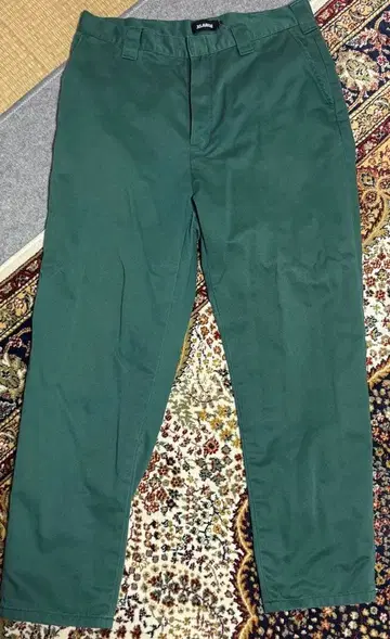 X 라지 그린 남성용 팬츠 34