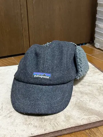 patagonia 다크 그레이 캡