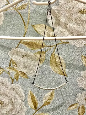 펄 목걸이 쿠도 시즈카