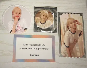 르세라핌 카페 2024 채원