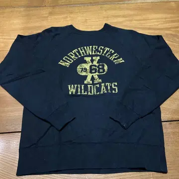 초레어 Cheswick 아메카지 노스웨스턴 와일드캣츠 캐나다제