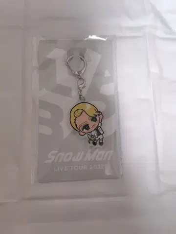 SnowMan 라울 아크링 키링