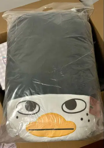 RIIZE 토르뵤른 소희 중국 한정판