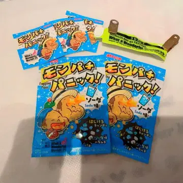 What a Wonderful World25 몽파치 패닉