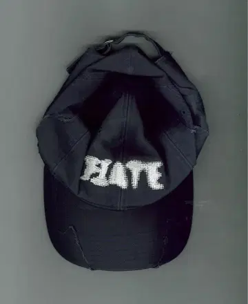 fifth general store Distressed Hate Cap