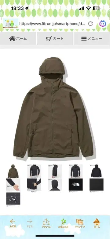 THE NORTH FACE Vent Mesh Hoodie NP22174