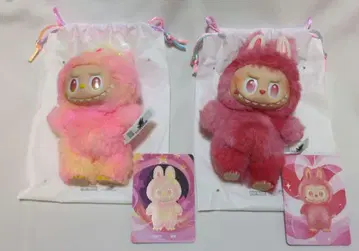 Big into Energy 러브브 LOVE LOYALTU