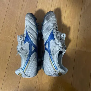 모렐리아2 재팬