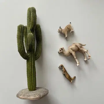 슐라이히 단종 선인장 낙타 미어캣 레오파드