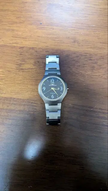 TECHNOS 티타늄 손목시계