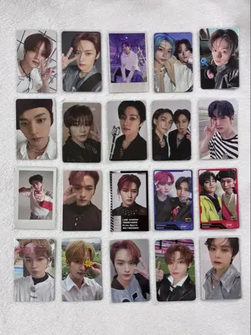 Stray Kids 리노 트레카세트