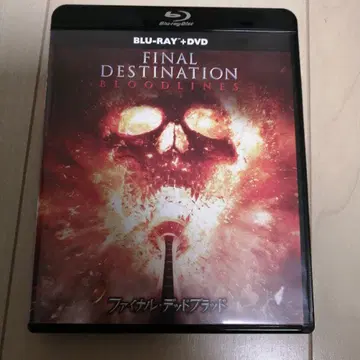파이널 데드 브래드 DVD