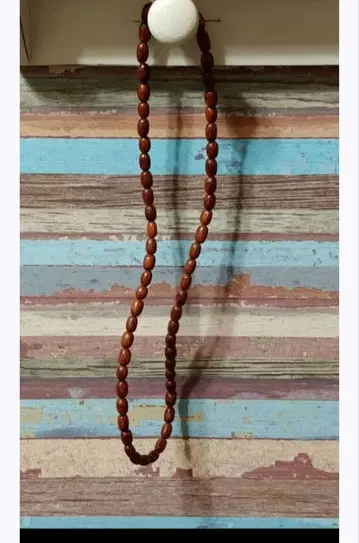 [ Hawaii jewelry ] 하와이 코아우드 목걸이