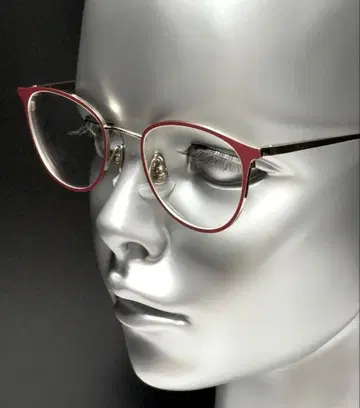 미스터 젠틀맨 + 웨이 월트 도수입 안경 2