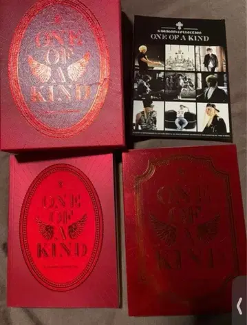 bigbang g-dragon ONE OF A KIND
