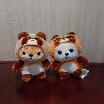 콩 시바 삼형제 너구리 봉제 인형 사스케와 마메타로 2체 세트