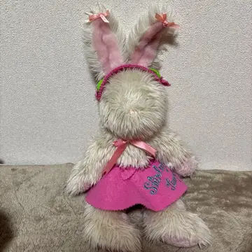 셜리 템플 앉아있는 토끼