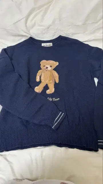 릴리 브라운 곰 니트