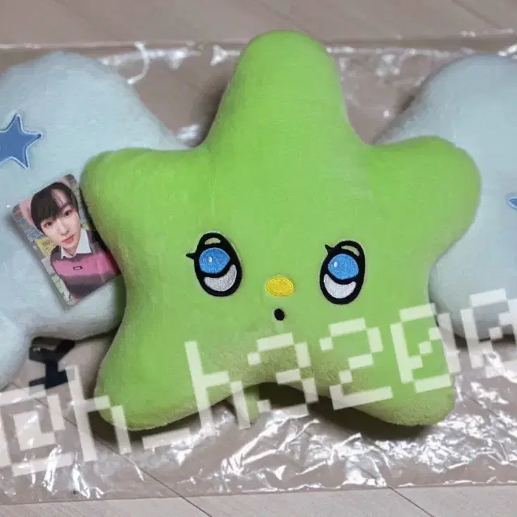 NCT | 엔시티 NCT Wish Wichu Cushion Transfer on Bunjang Global Site.