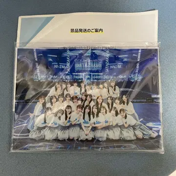 히나타자카46 히나코레 챌린지 복권 B상 아크릴 스탠드