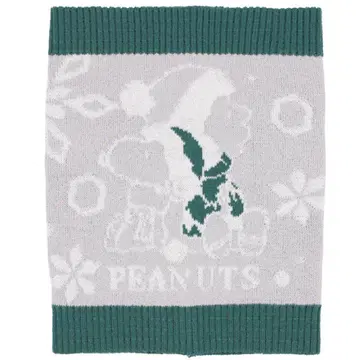 USJ 유니버셜 스누피 찰리 브라운 허리 워머