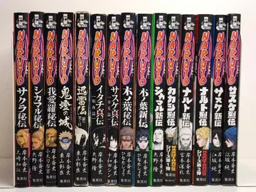 NARUTO 나루토 비전 신전 열전 15권 세트