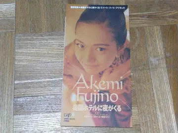 후지노 아케미 낙원 호텔에 밤이 온다